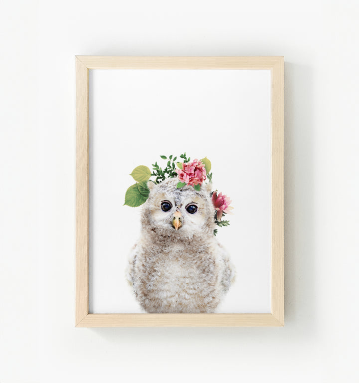 Baby Owl Framed Canvas