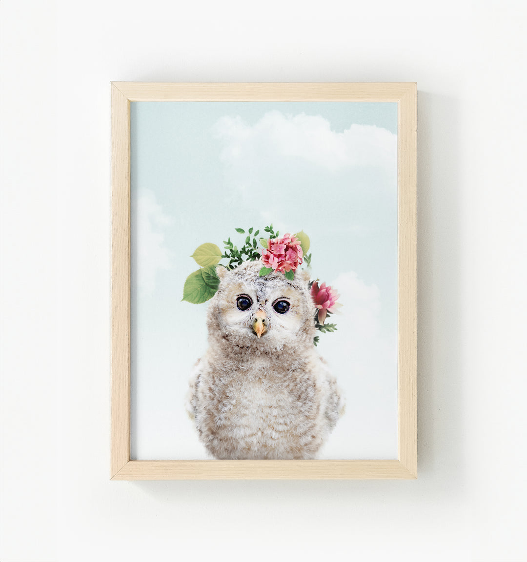 Baby Owl Framed Canvas