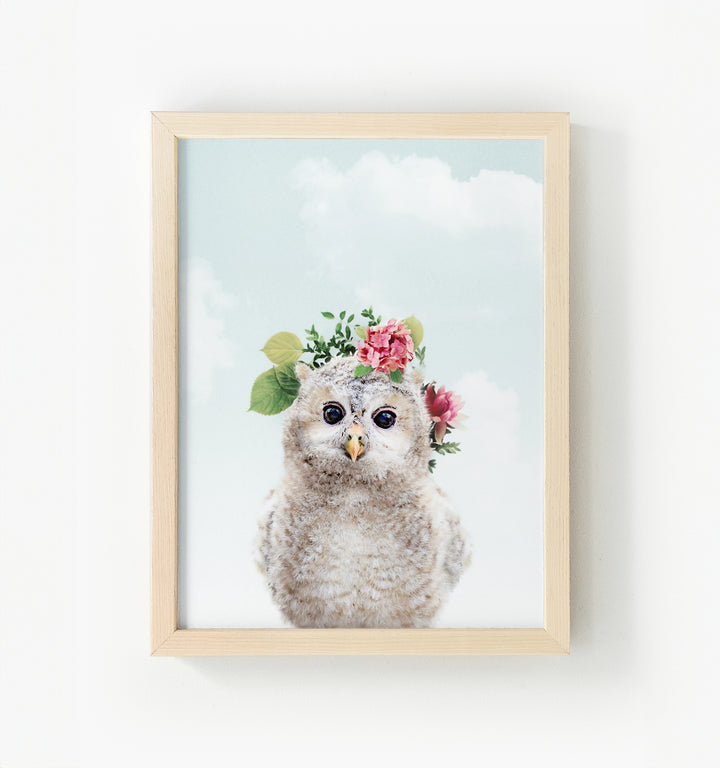 Baby Owl Framed Canvas