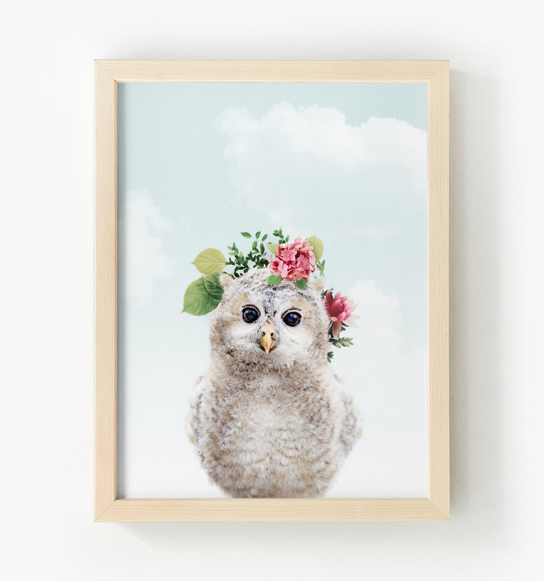 Baby Owl Framed Canvas