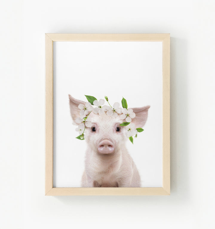 Baby Pig No. 2 Framed Canvas