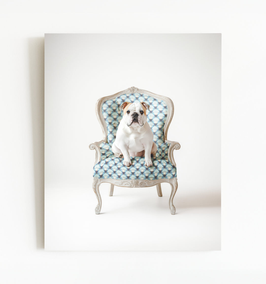 Bulldog Dog on Chair