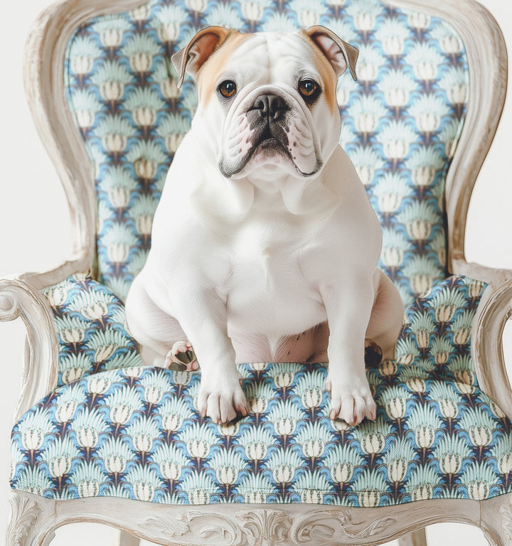 Bulldog Dog on Chair