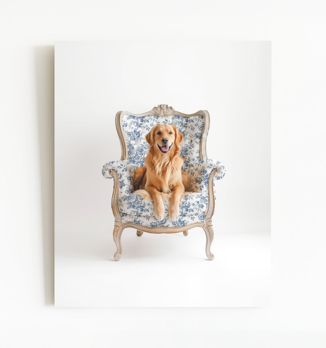 Golden Retriever Dog on Chair