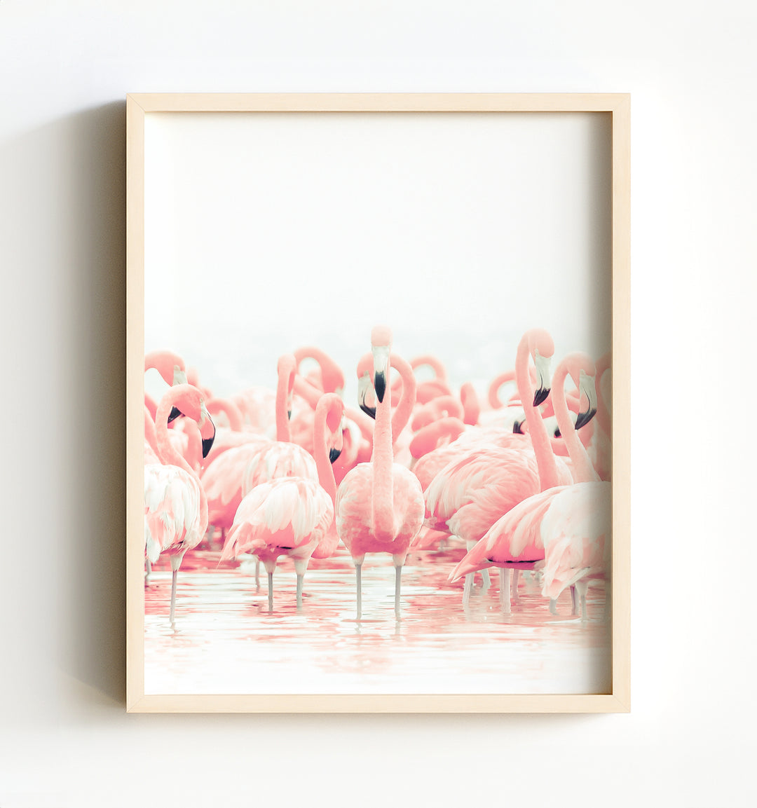 Pink Flamingo print by Editors Choice