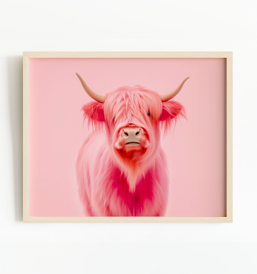 Pink Highland Cow