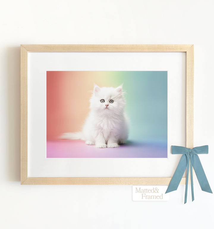 Rainbow Kitty Framed Art