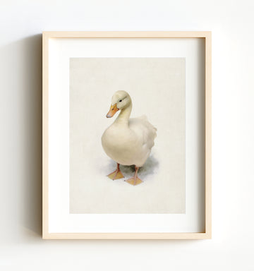 Storybook Animals - The Crown Prints