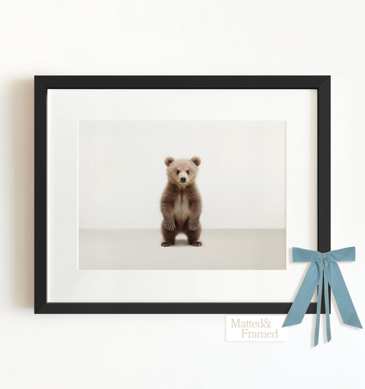 Studio Bear Framed Art