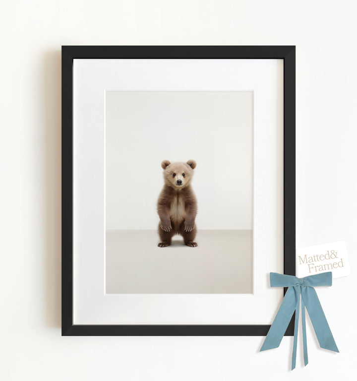 Studio Bear Framed Art