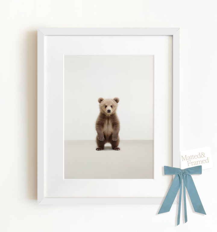 Studio Bear Framed Art