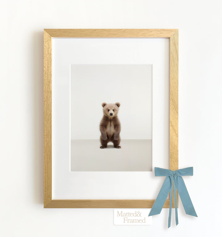 Studio Bear Framed Art