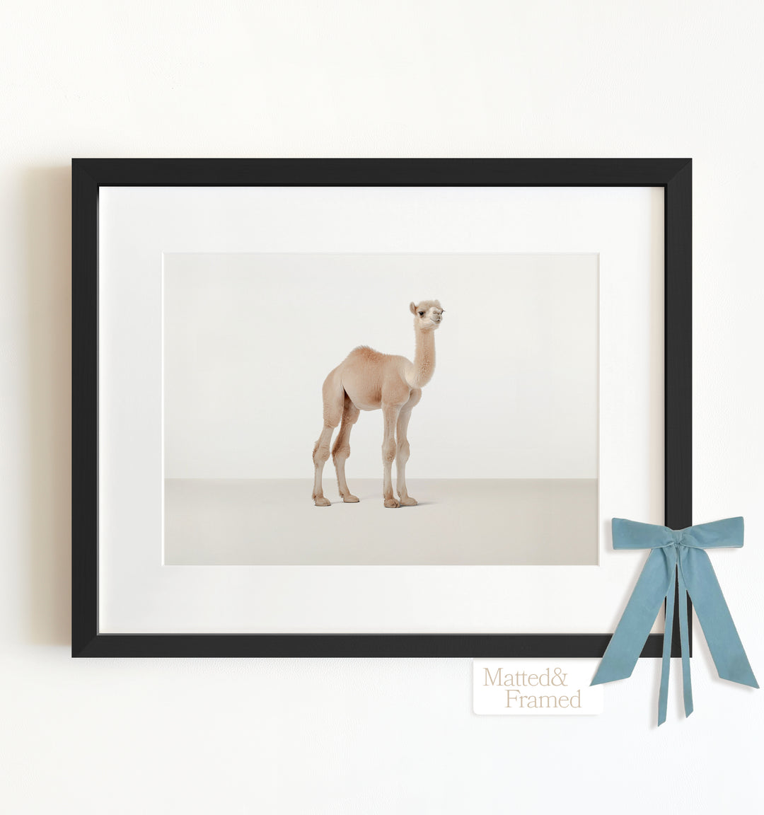 Studio Camel Framed Art