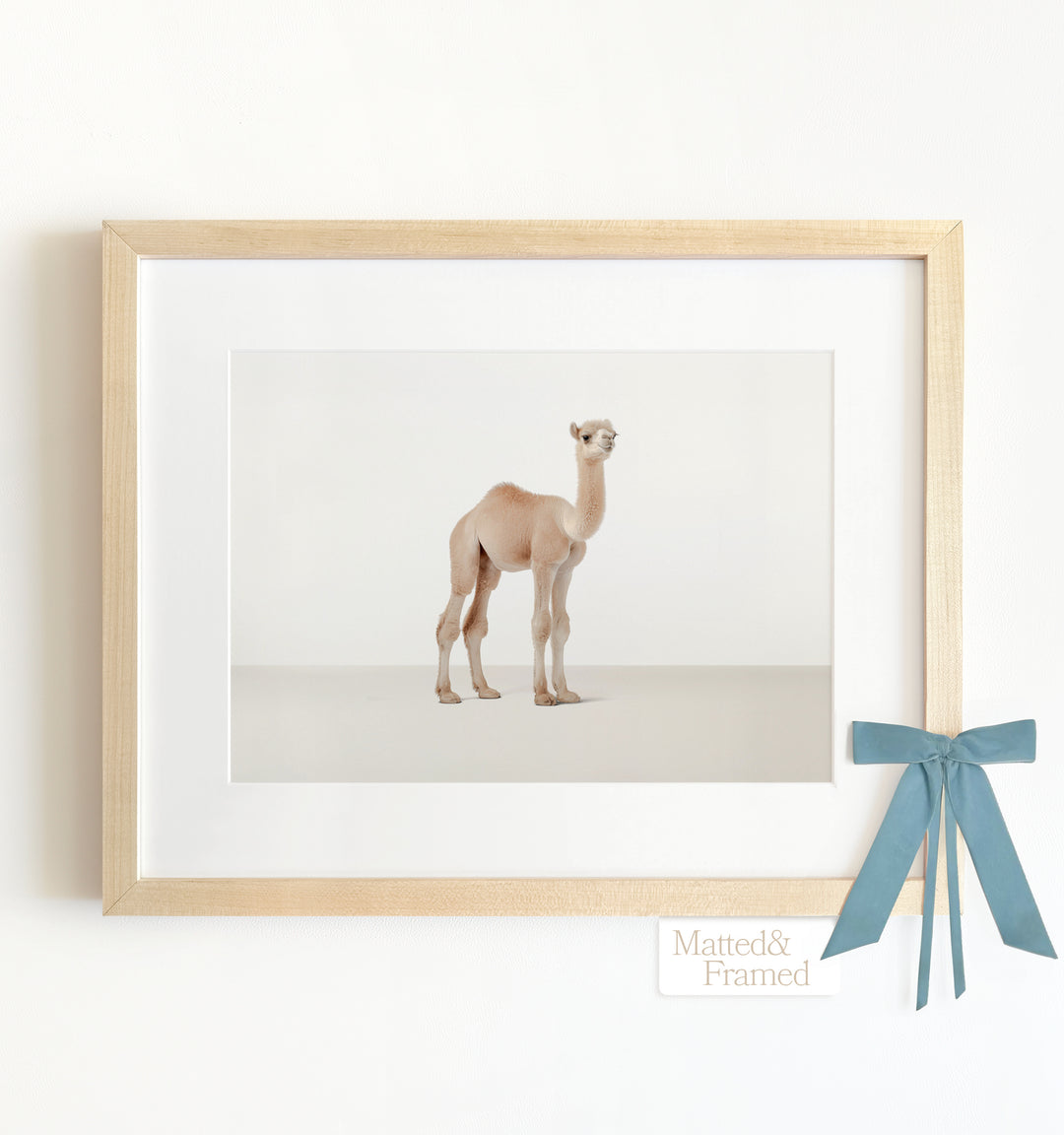 Studio Camel Framed Art