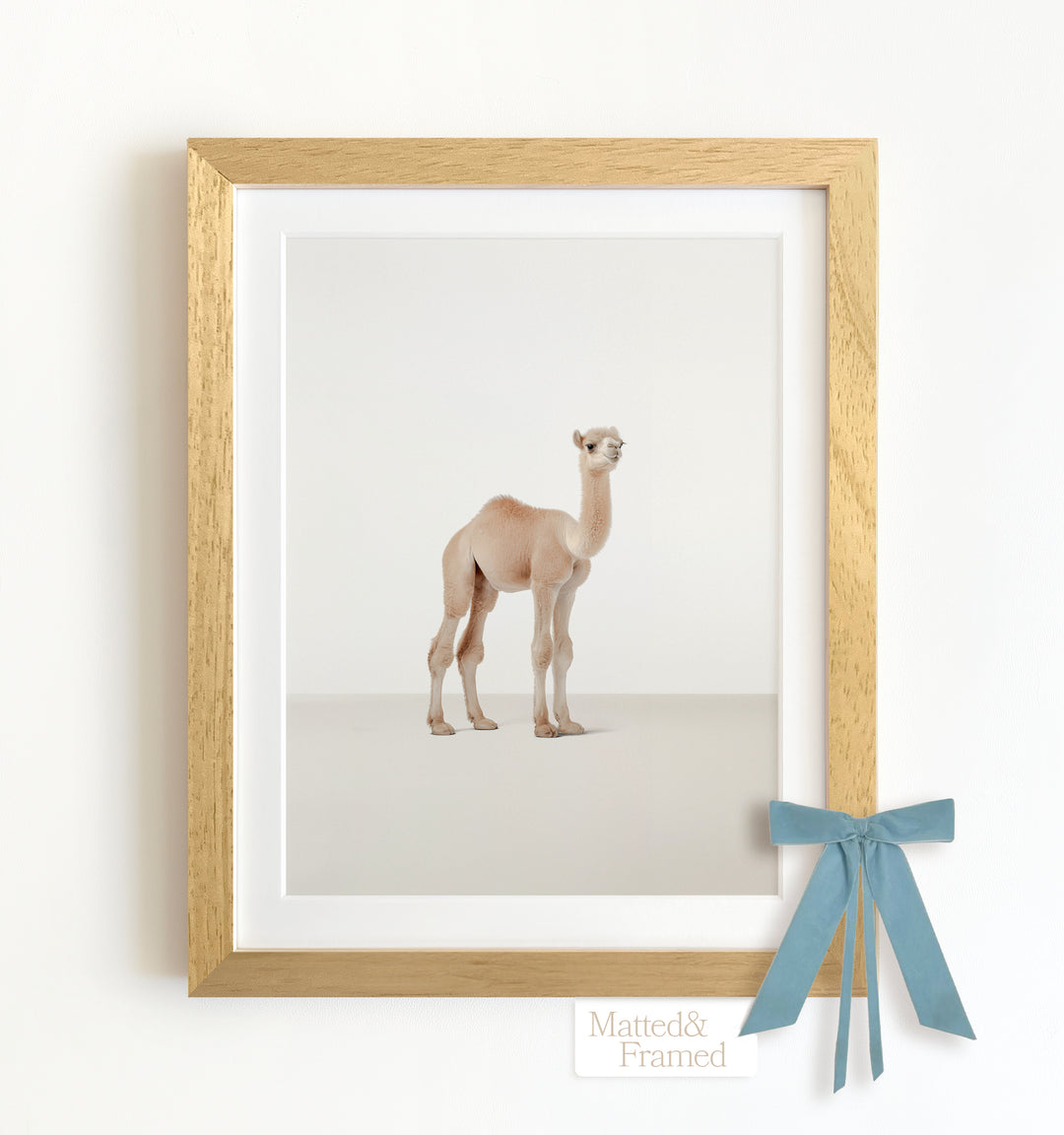 Studio Camel Framed Art