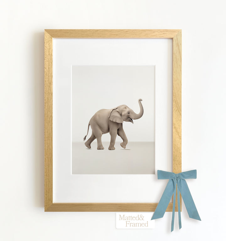 Studio Elephant Framed Art