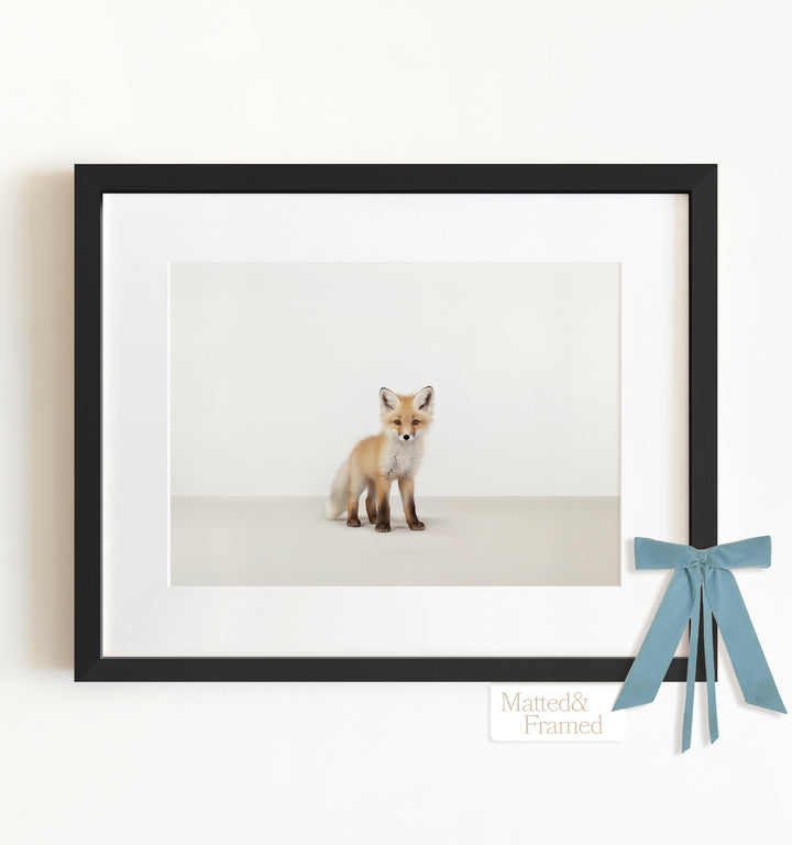 Studio Fox Framed Art