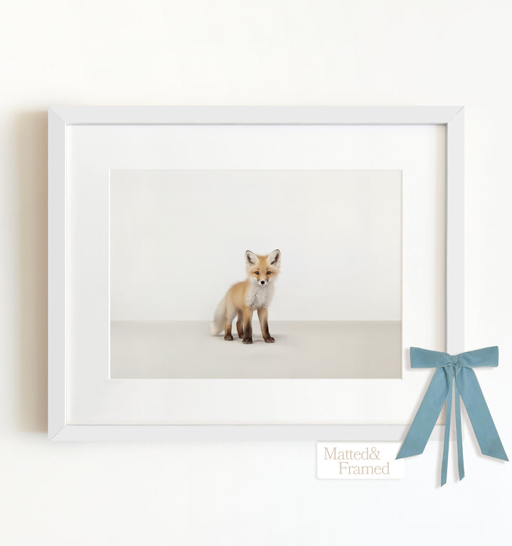 Studio Fox Framed Art