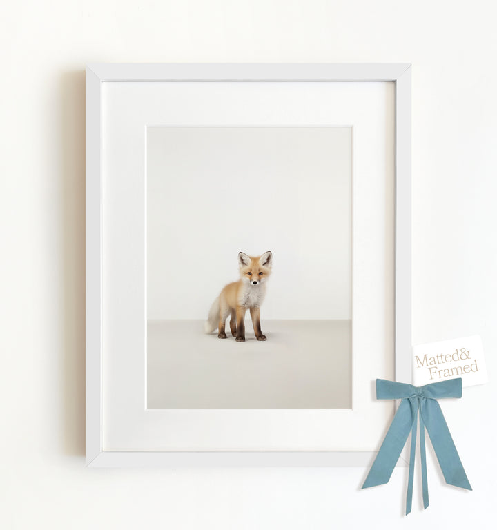 Studio Fox Framed Art