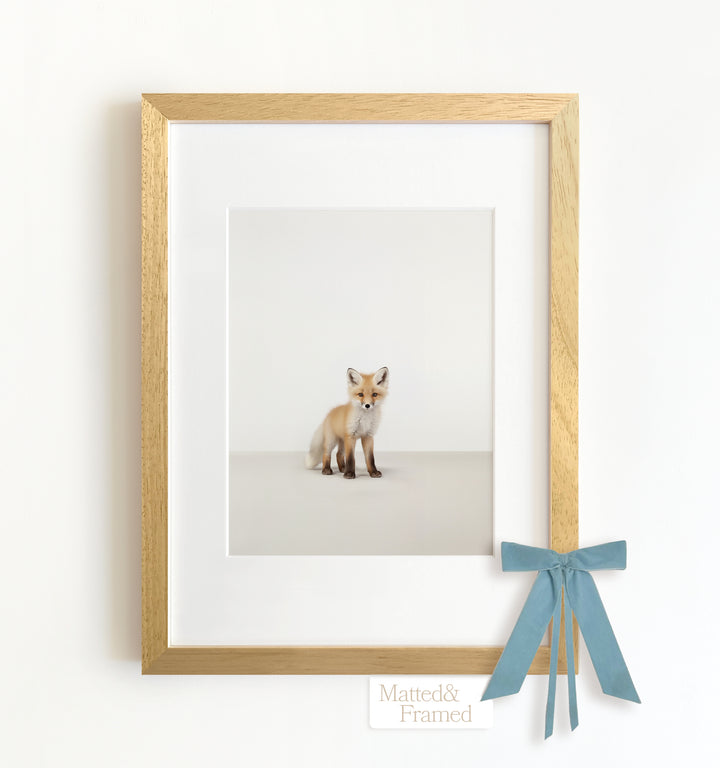 Studio Fox Framed Art