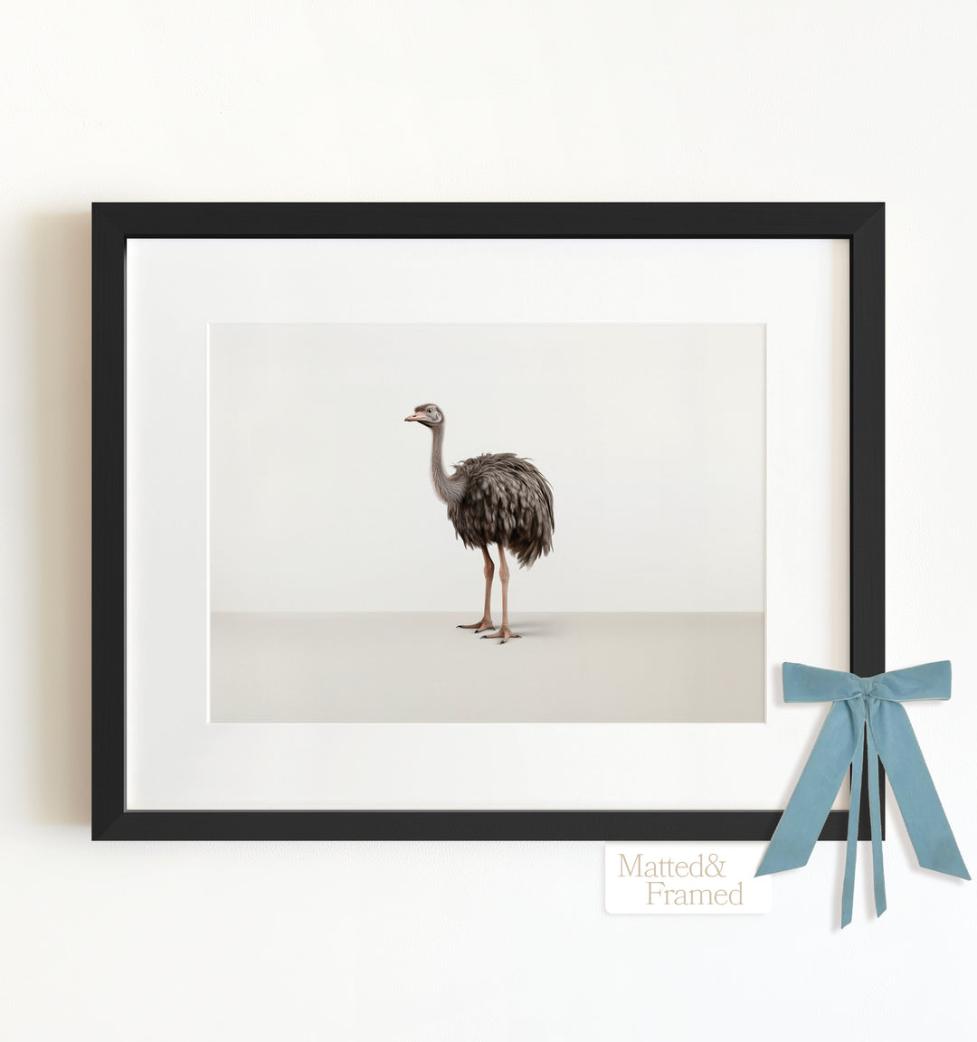 Studio Ostrich Framed Art