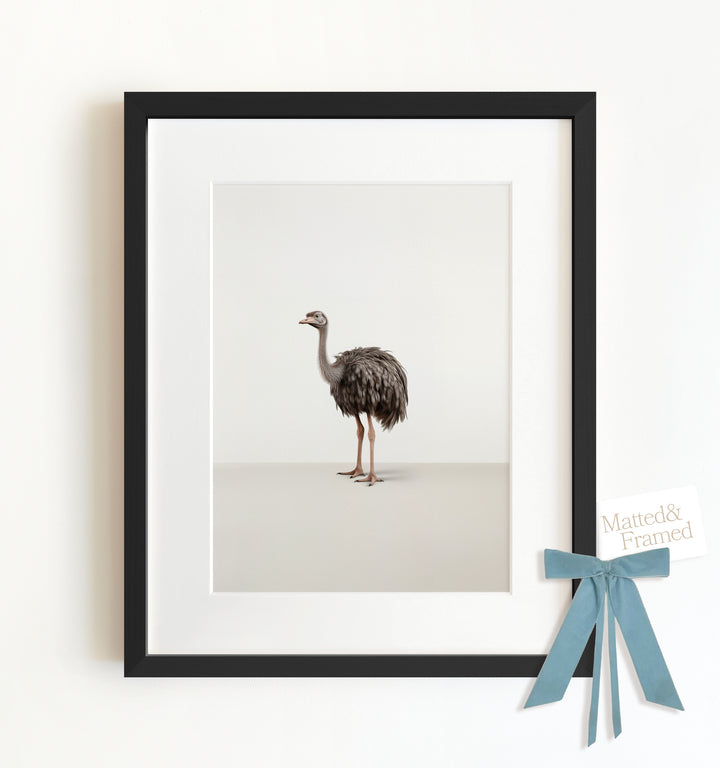 Studio Ostrich Framed Art