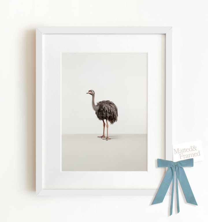 Studio Ostrich Framed Art