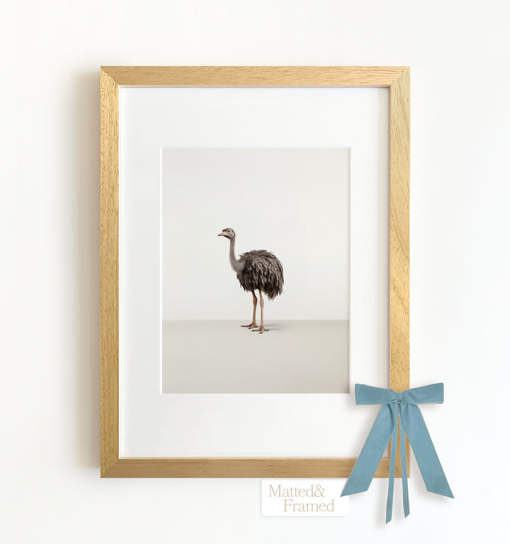 Studio Ostrich Framed Art