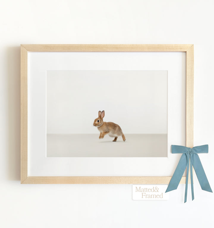 Studio Rabbit Framed Art