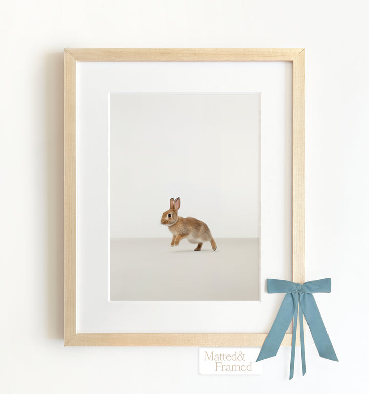 Studio Rabbit Framed Art