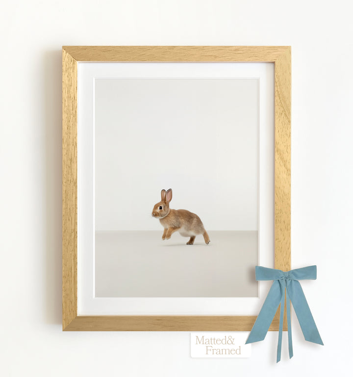 Studio Rabbit Framed Art