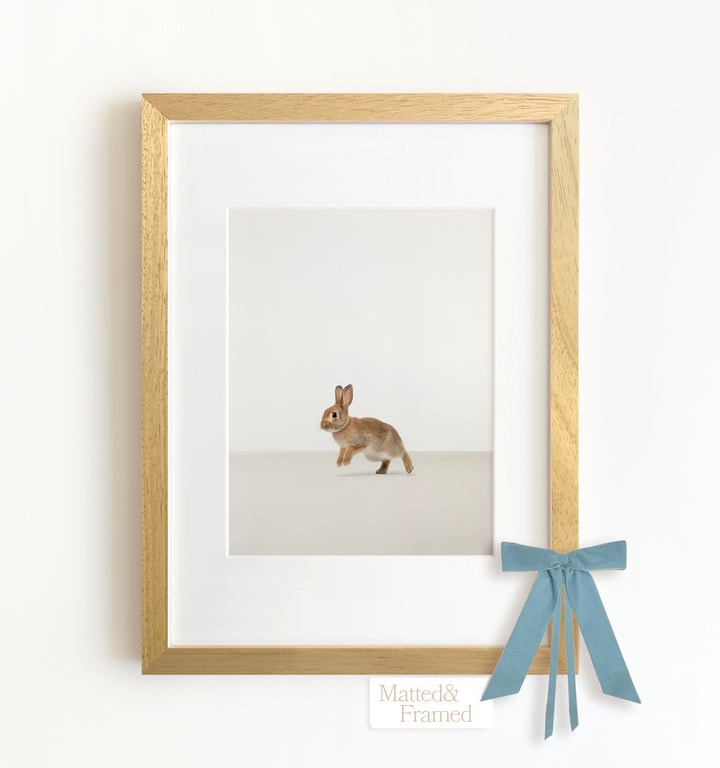 Studio Rabbit Framed Art