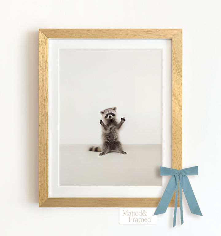 Studio Raccoon Framed Art