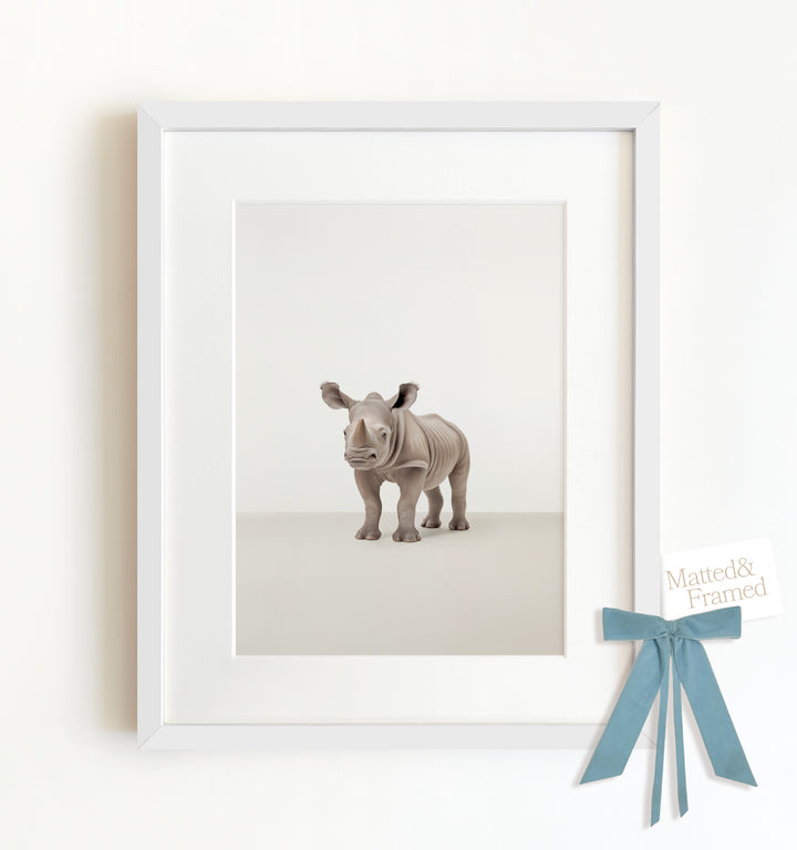 Studio Rhino Framed Art