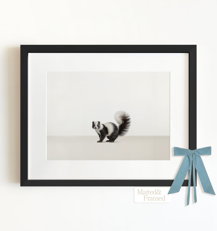 Studio Skunk Framed Art