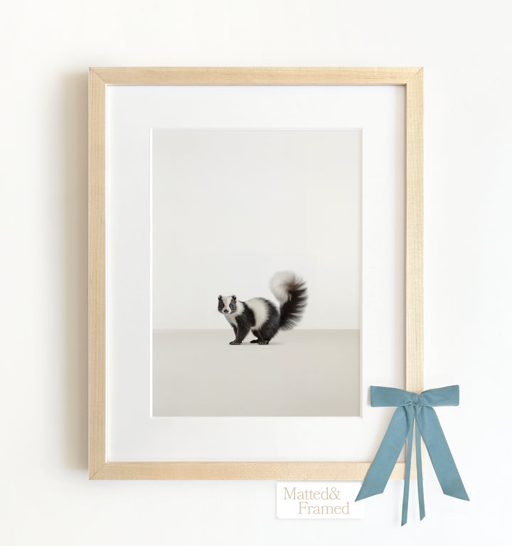 Studio Skunk Framed Art