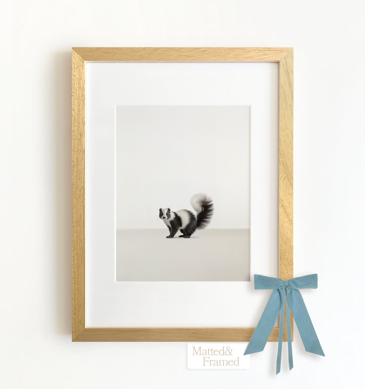 Studio Skunk Framed Art