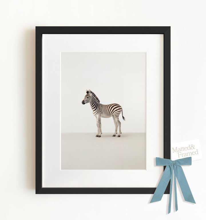 Studio Zebra Framed Art