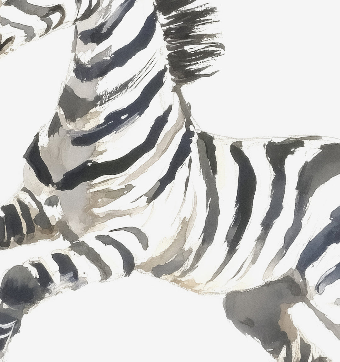 Watercolor Zebra Art Print