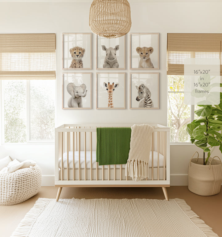 Baby Safari Animals Nursery Decor - African Animals Set of 6 Prints