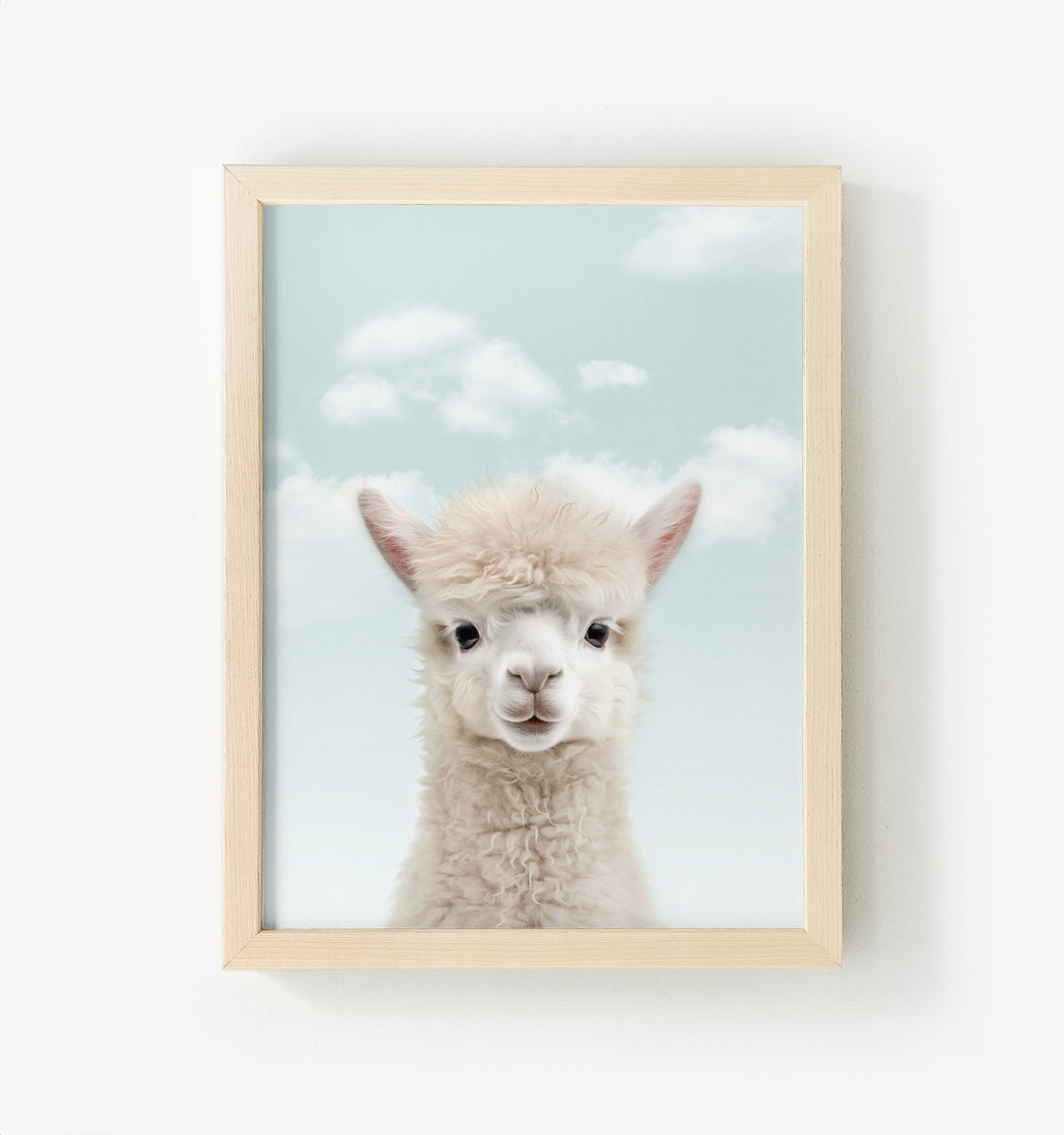 Baby Alpaca Framed Canvas