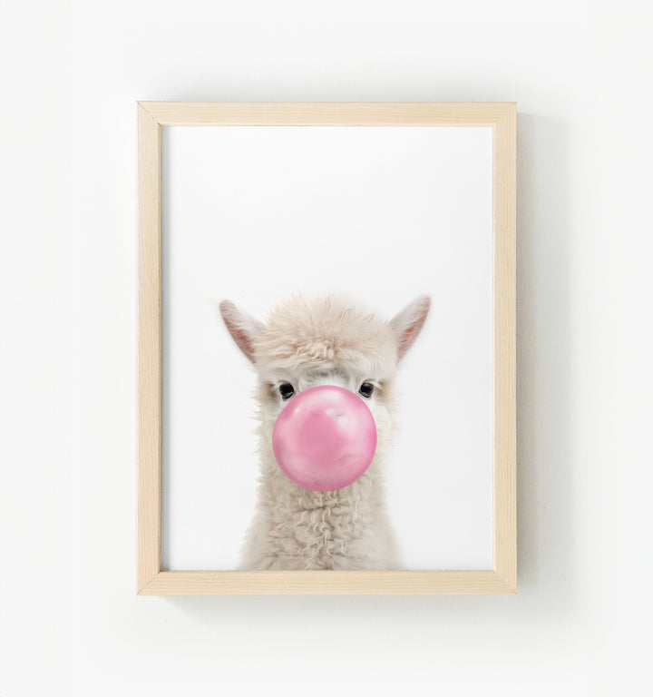 Baby Alpaca Framed Canvas