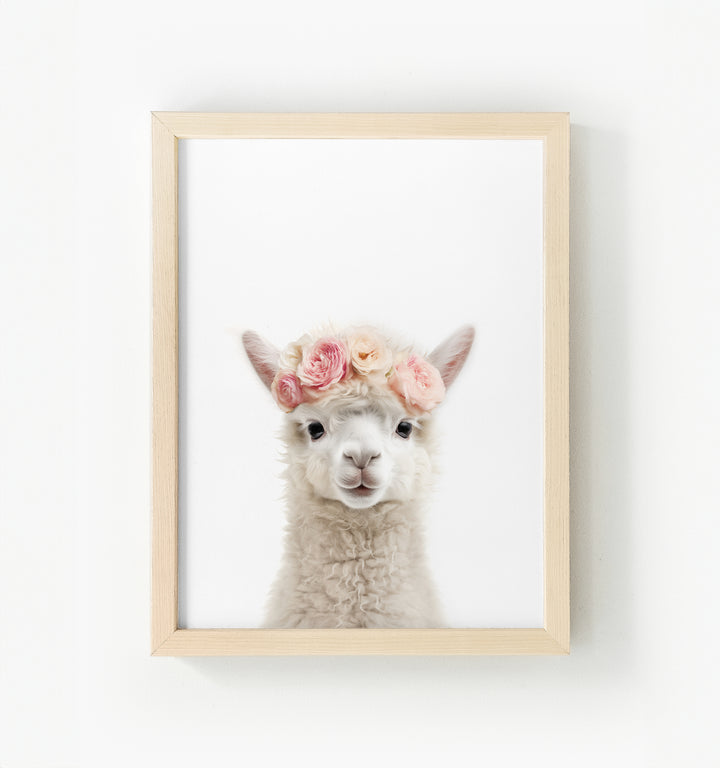 Baby Alpaca Framed Canvas