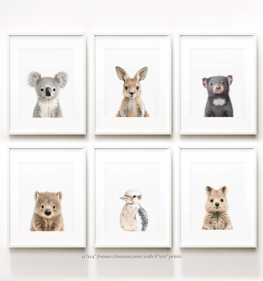 Nursery Art Baby Australian Animals Set of 6