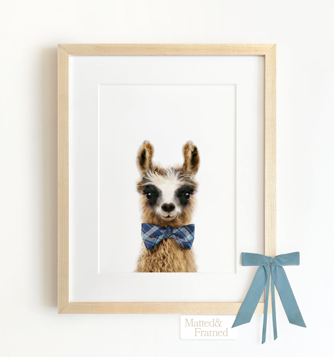 Baby Llama Framed Art