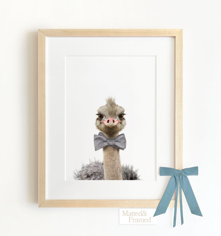 Baby Ostrich Framed Art