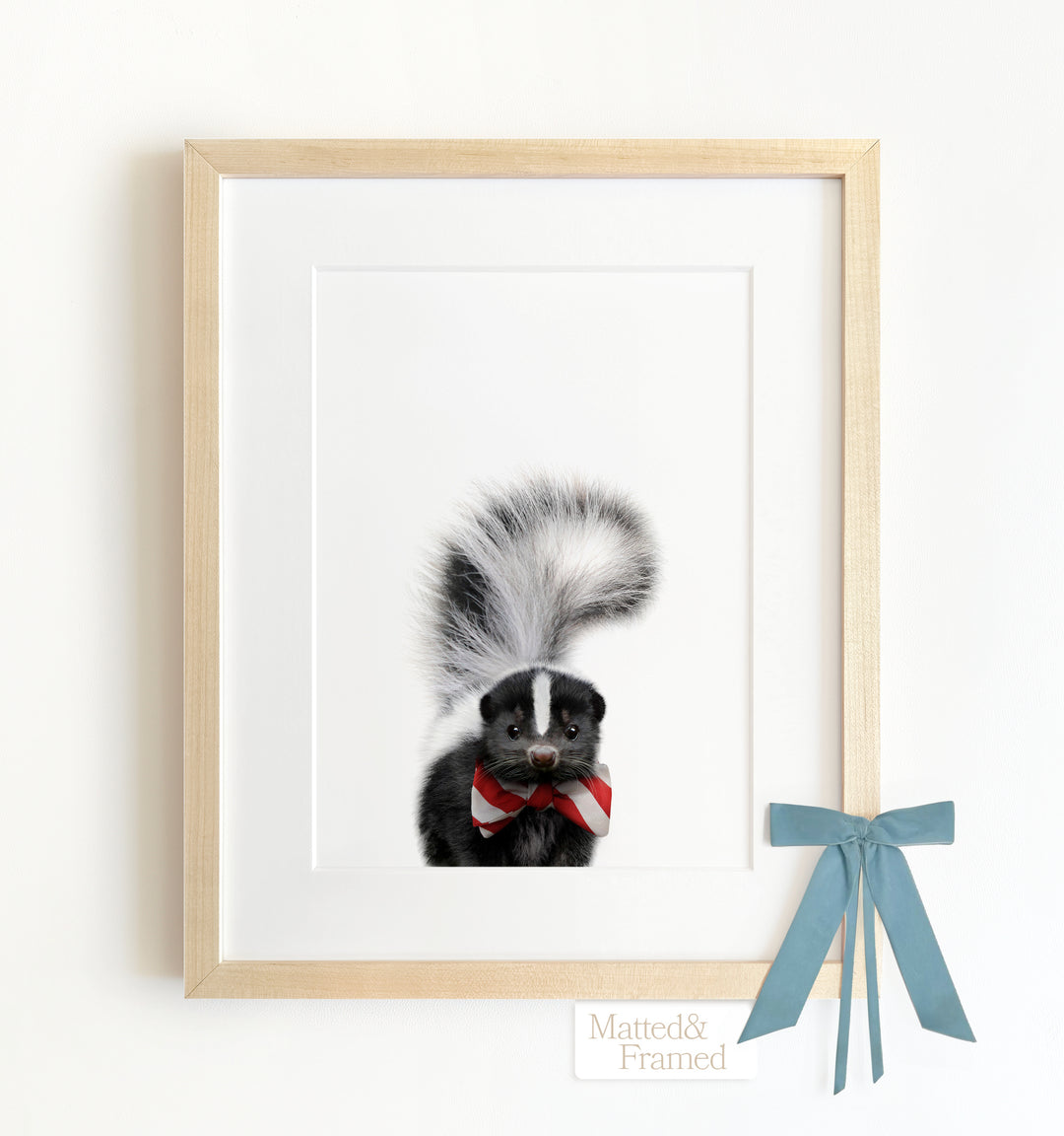 Baby Skunk Framed Art