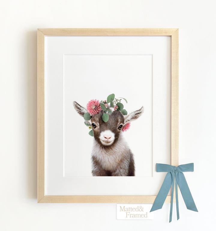 Baby Goat Framed Art