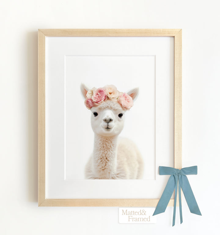 Baby Alpaca Framed Art