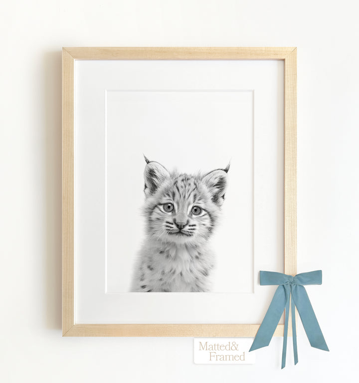 Baby Bobcat Framed Art